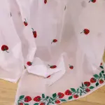 Strawberry Saree